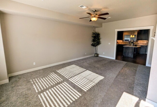 4903 Northern Lights Dr in Fort Collins, CO - Building Photo - Building Photo