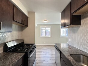 533 W Surf St in Chicago, IL - Building Photo - Building Photo