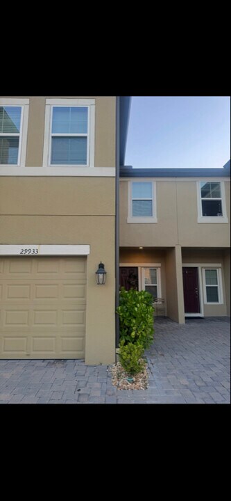 29933 Southwell Ln in Wesley Chapel, FL - Building Photo