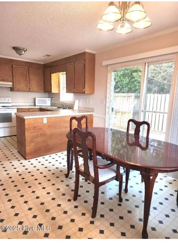1035 Spring Forest Rd