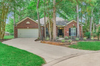 3 E Night Heron Pl in Spring, TX - Building Photo - Building Photo