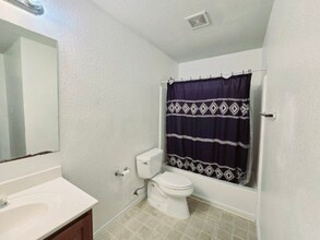 24315 Saffron Plum in San Antonio, TX - Building Photo - Building Photo