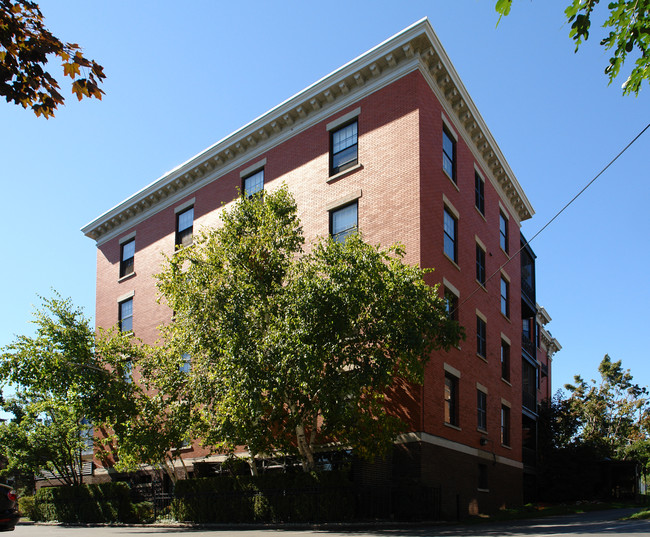 1141 Delaware Ave in Buffalo, NY - Foto de edificio - Building Photo