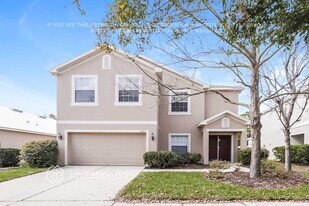 10329 Celtic Ash Dr in Ruskin, FL - Building Photo