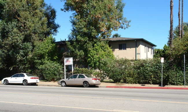 4900 Woodman Ave in Sherman Oaks, CA - Building Photo - Building Photo