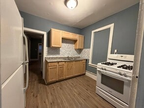 1309 W 110th Pl in Chicago, IL - Building Photo - Building Photo