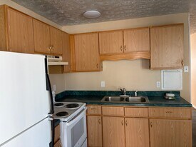 132 Mann Ave in Troy, NY - Building Photo