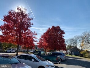 428 Palmer Terrace in Westminster, MD - Building Photo - Building Photo