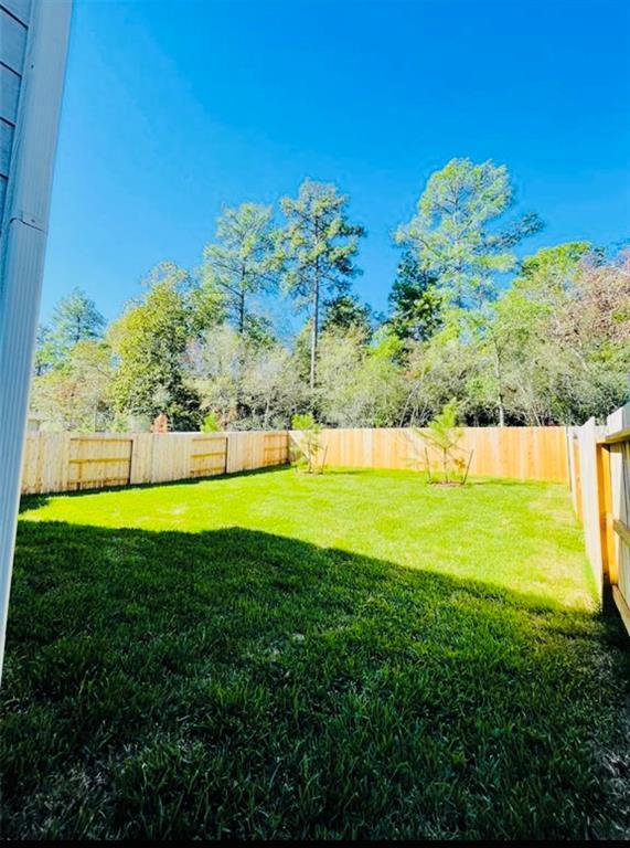 10565 Pineland Dr in Willis, TX - Building Photo - Building Photo