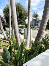 Chateau Studio Village Apartments in North Hollywood, CA - Foto de edificio - Building Photo