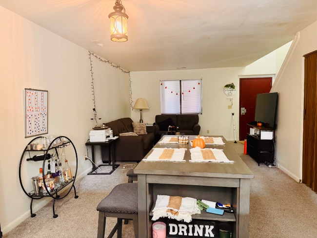 302 S Busey Ave in Urbana, IL - Foto de edificio - Building Photo