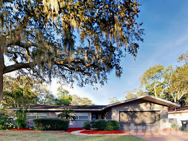 7102 Woodfield Dr in Tampa, FL - Foto de edificio - Building Photo