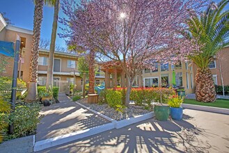 Cambridge House Apartments in Davis, CA - Building Photo - Building Photo