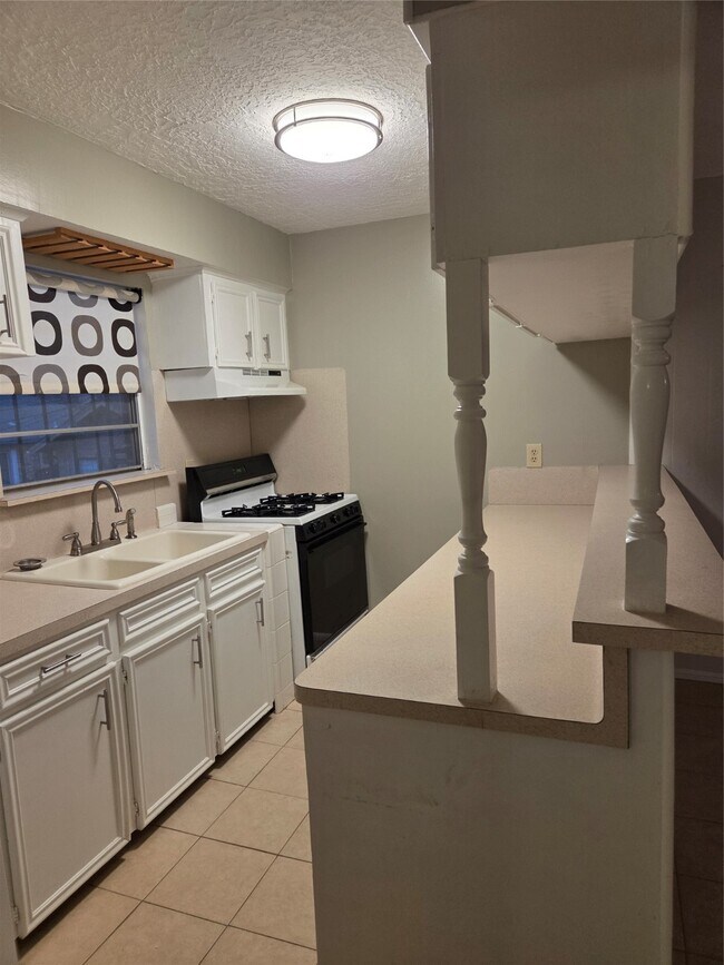 902 Euclid St in Houston, TX - Building Photo - Building Photo