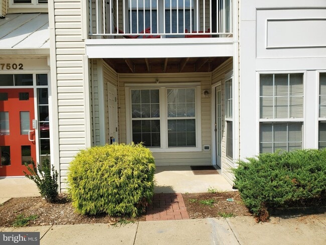 7502 Calderon Ct in Alexandria, VA - Building Photo - Building Photo