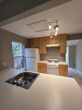 1703 Maple Ave in Austin, TX - Building Photo - Building Photo