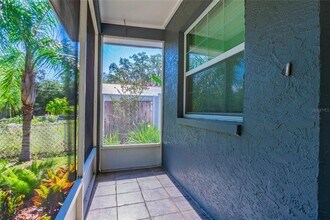 1302 Withlacoochee St in Safety Harbor, FL - Building Photo - Building Photo