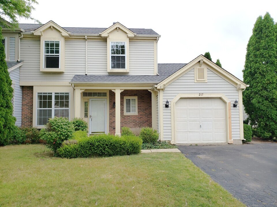 217 Wilton Ln in Mundelein, IL - Building Photo
