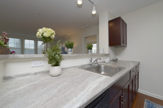 Village Green in Hyannis, MA - Building Photo - Interior Photo