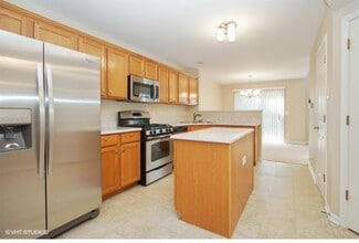 1409 Sturgeon Bay Ct in Schaumburg, IL - Building Photo - Building Photo