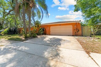 335 Laughing Gull Ln in Palm Harbor, FL - Building Photo - Building Photo