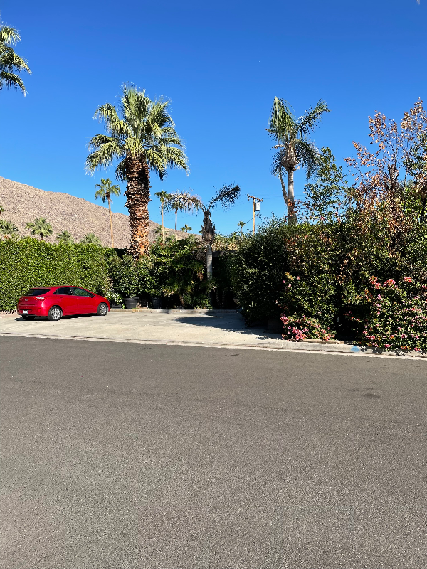 430 Avenida Ortega in Palm Springs, CA - Building Photo - Building Photo