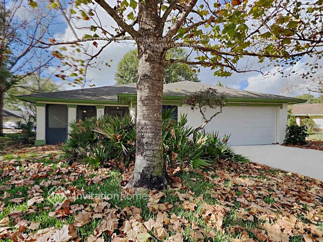 property at 1013 Black Willow Dr