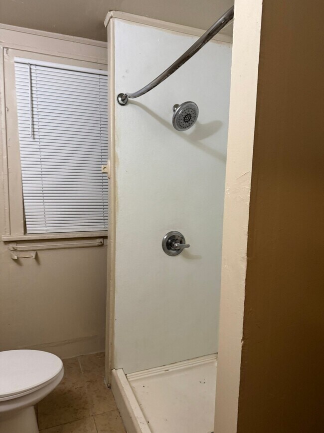 5036 Dailey Ave, Unit Upper in Detroit, MI - Building Photo - Building Photo