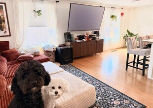 9308 Kendall St in Westminster, CO - Building Photo - Building Photo