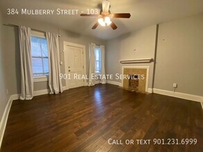384 Mulberry St in Memphis, TN - Building Photo - Building Photo