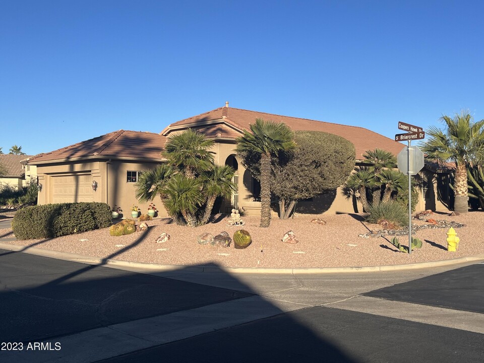 24813 S Briarcrest Dr in Sun Lakes, AZ - Building Photo