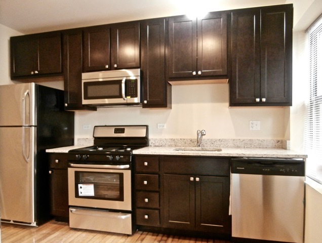 2323 W Arthur Ave, Unit 2 in Chicago, IL - Foto de edificio - Building Photo