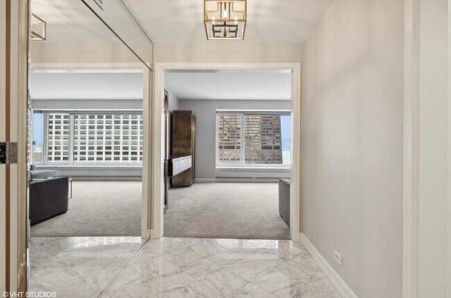161 E Chicago Ave, Unit 161 E Chicago Ave #46H in Chicago, IL - Building Photo - Building Photo