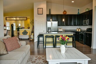 533 W 172nd Pl in Broomfield, CO - Building Photo - Building Photo