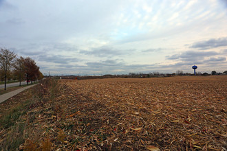 The Residences at Promenade Place - Phase II in Bolingbrook, IL - Building Photo - Building Photo