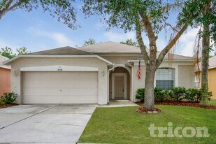 10314 Goldenbrook Way in Tampa, FL - Building Photo