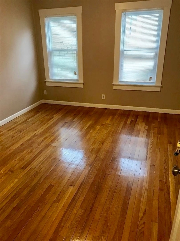 property at 81 School St