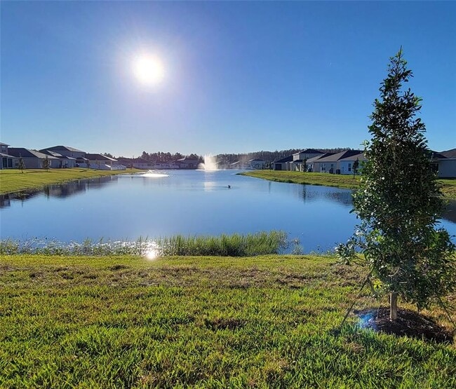 3969 Southern Vis Lp in St. Cloud, FL - Building Photo - Building Photo