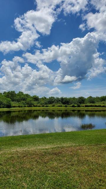 10027 Sage Creek Dr in Ruskin, FL - Building Photo - Building Photo