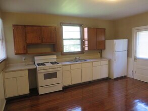 217 W Woodland Ave in Fort Wayne, IN - Building Photo - Building Photo