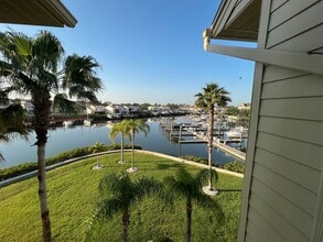 4355 Spinnaker Cove Ln in Tampa, FL - Building Photo - Building Photo