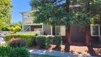 Park Wood Apartments in Dublin, CA - Building Photo