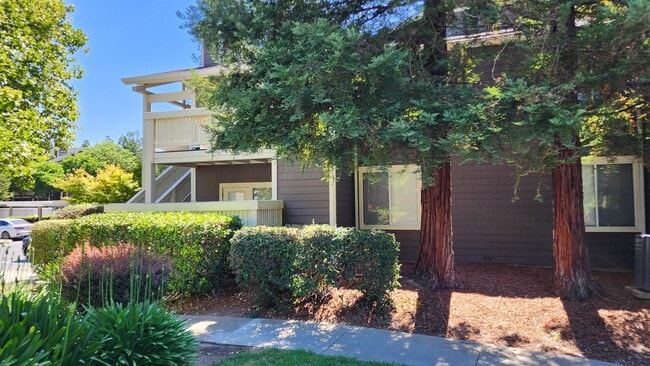 Park Wood Apartments