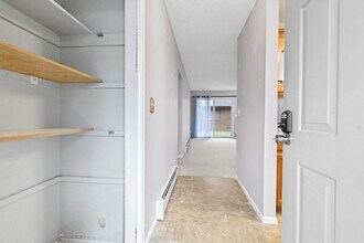 919 Conifer Ct in Windsor, CO - Building Photo - Building Photo