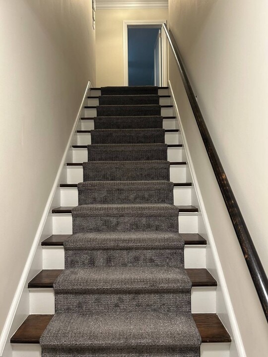 260 Eastchester Rd in New Rochelle, NY - Building Photo