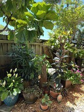 1423 Holly Heights Dr in Fort Lauderdale, FL - Building Photo - Building Photo