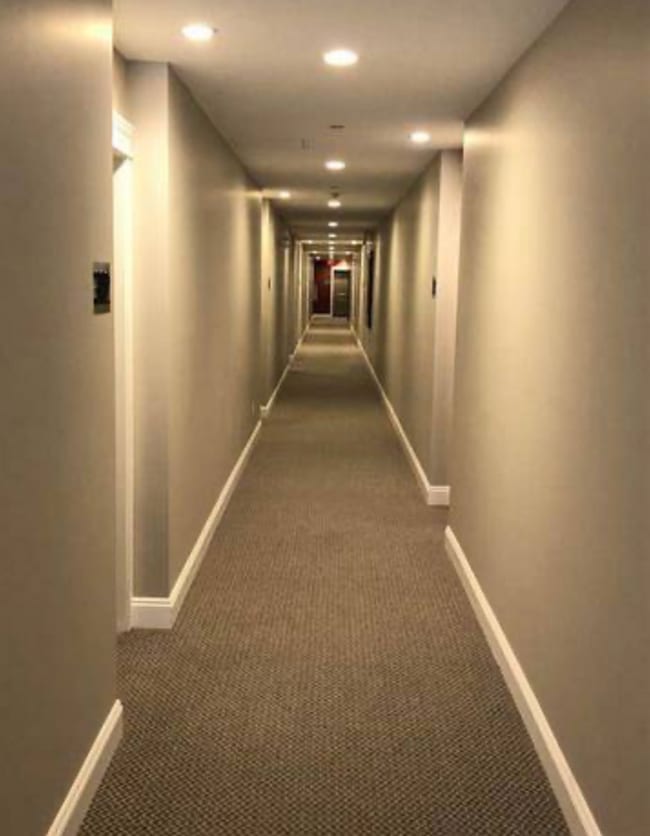 11882 226 St in Maple Ridge, BC - Building Photo - Building Photo