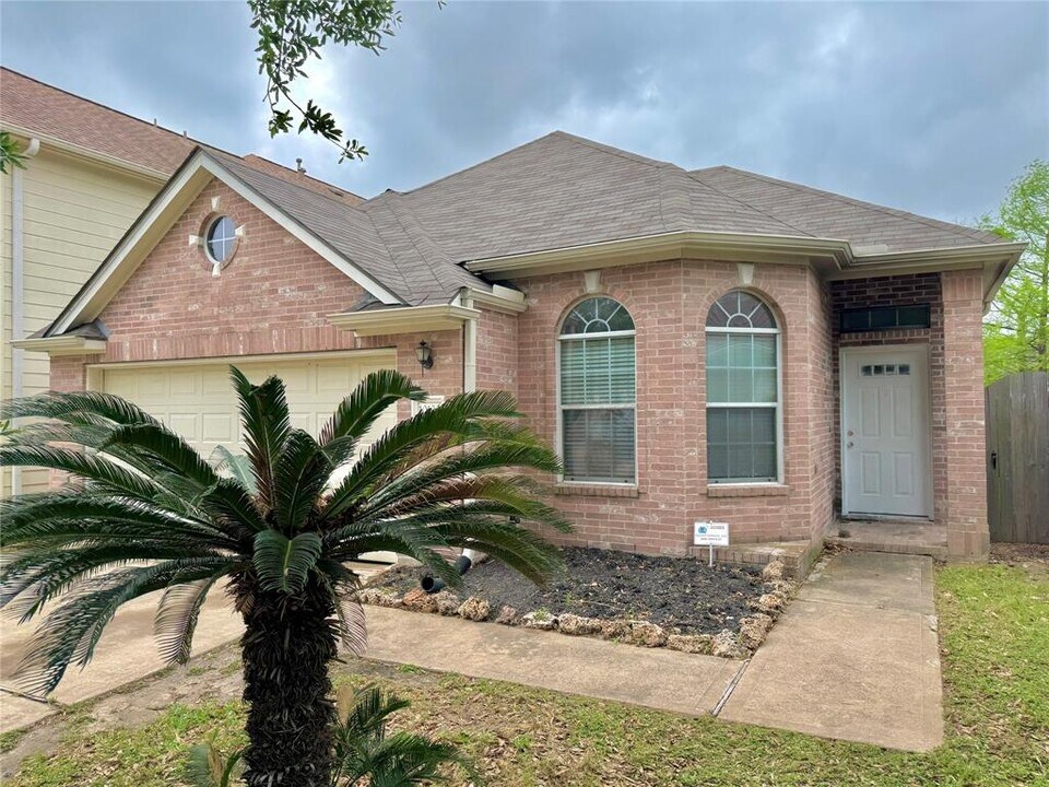 10130 East Palm Lake Drive in Houston, TX - Building Photo
