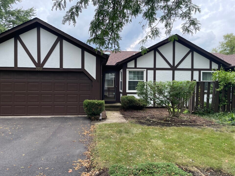 559 Fessler Ave in Naperville, IL - Building Photo