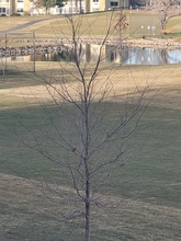 710 S Alton Way in Denver, CO - Foto de edificio - Building Photo